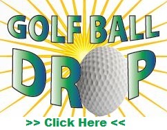 balldrop2